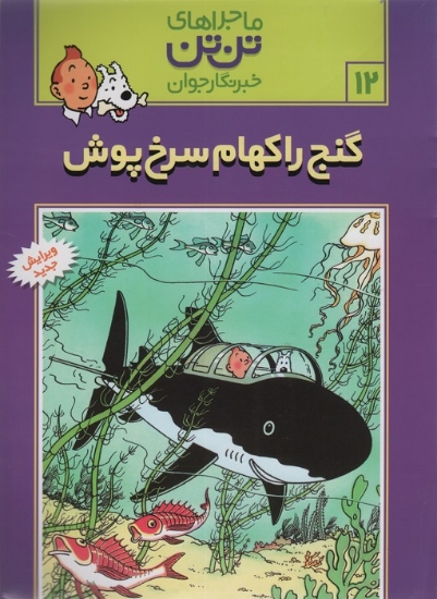 تصویر  ماجراهای تن تن خبرنگار جوان12 (گنج راکهام سرخ پوش)،(کمیک استریپ)